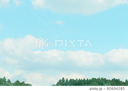 空と木 92604285