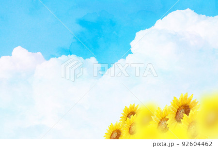 ひまわりと入道雲 背景素材 ひまわりと入道雲 背景素材 92604462