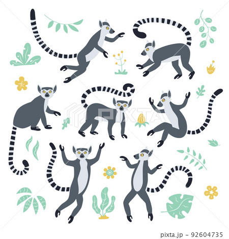 Cute funny ring-tailed lemurs and tropical plants. Exotic Lemur catta. Set of vector illustrations in cartoon and flat style 92604735