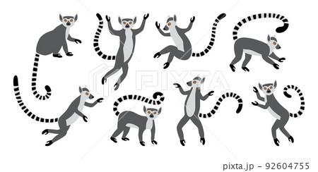 Cute funny ring-tailed lemurs. Exotic Lemur catta. Set of vector illustrations in cartoon and flat style 92604755