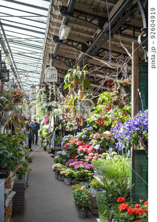 パリ、シテ島の花市 (フランス) 92604919