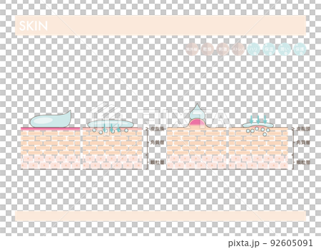 肌のお手入れや化粧品スキンケアの効果 肌のお手入れや化粧品スキンケアの効果 92605091