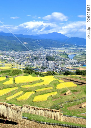 秋の姨捨の棚田 92605623