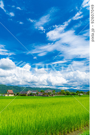 【夏素材】夏空イメージ【長野県】 【夏素材】夏空イメージ【長野県】 92607049