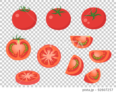 野菜イラスト　バラエティセット　トマト 92607257