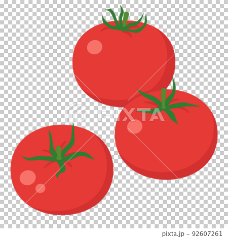 Vegetable illustration 3 tomatoes 92607261