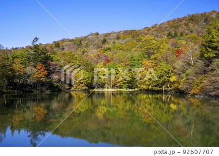 秋の茶臼山高原 92607707