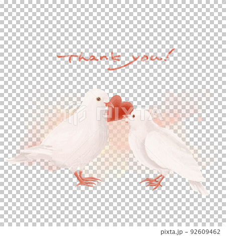 一隻白鴿將心傳遞給白鴿的插圖 一隻白鴿將心傳遞給白鴿的插圖 92609462
