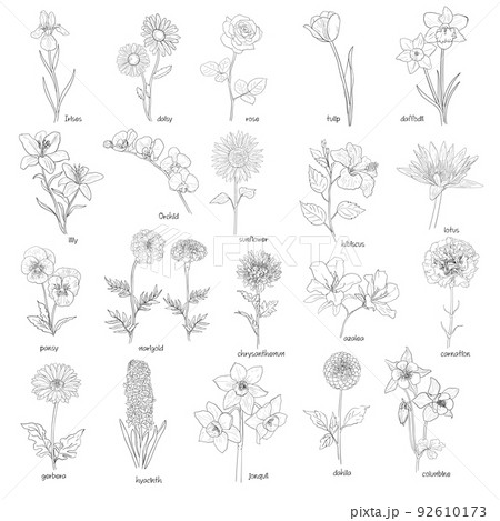 Set of flowers hand drawn 92610173
