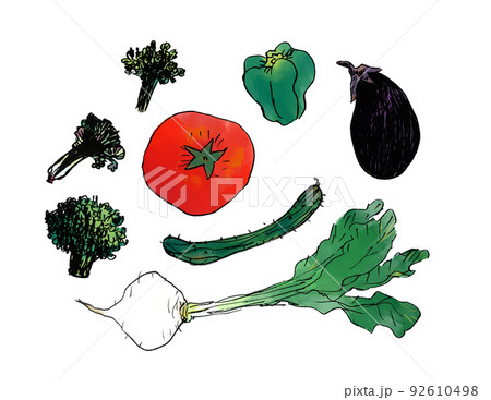 いろいろな野菜のセット 92610498