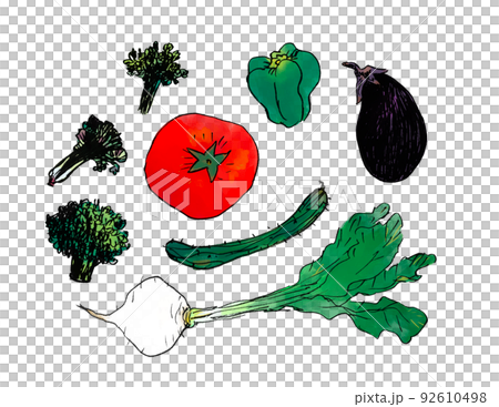 いろいろな野菜のセット 92610498