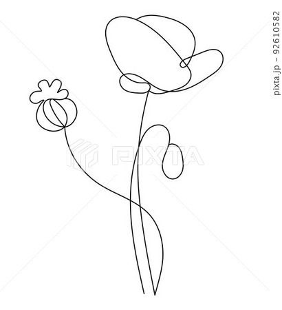 Poppy flower. Linear hand drawn minimalist drawing, continuous line. Vector illustration. Outline plant flower with bud and poppy head. Poppy flower. Linear hand drawn minimalist drawing, continuous line. Vector illustration. Outline plant flower with bud and poppy head. 92610582
