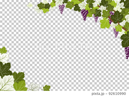 葡萄架A4尺寸 92610990