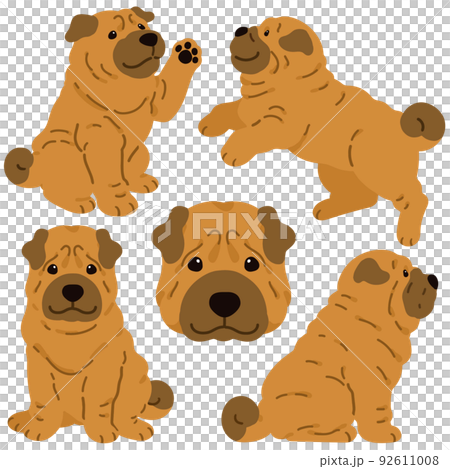 Simple and cute Shar Pei illustration set without main line 92611008