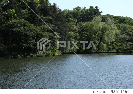 鶴見　神奈川県立三ツ池公園 92611160