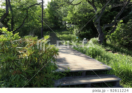 鶴見　神奈川県立三ツ池公園 92611224