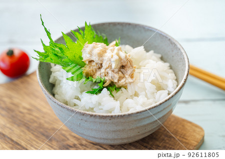 ご飯にのせたツナマヨ 92611805