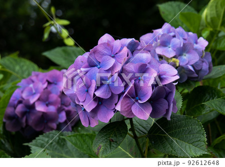 青堀駅周辺 92612648