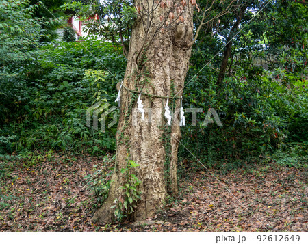 青堀駅周辺 92612649