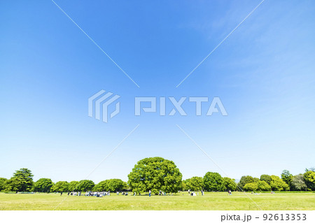 緑と青空の広がる風景 92613353