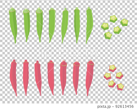 蔬菜插圖品種集秋葵 92613456