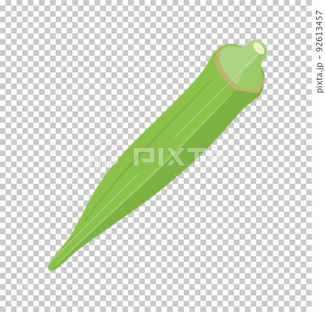 蔬菜插圖秋葵 92613457