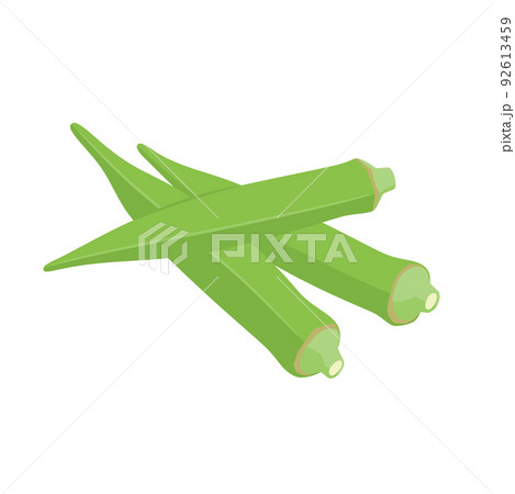 野菜イラスト　3本のオクラ 92613459