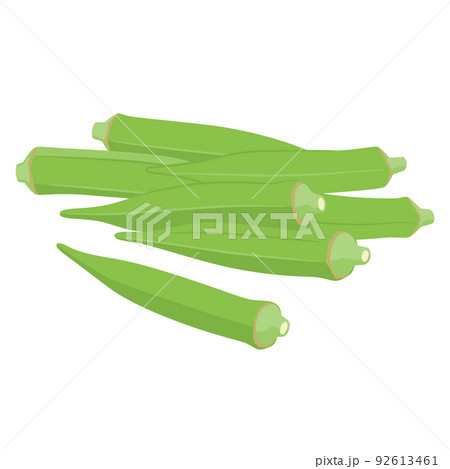 野菜イラスト たくさんのオクラ 野菜イラスト たくさんのオクラ 92613461