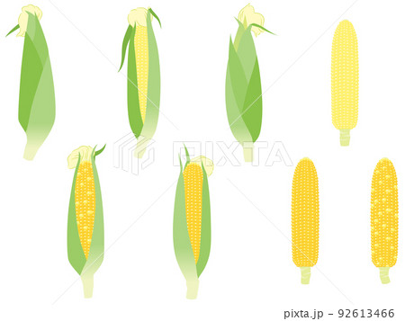 野菜イラスト　バラエティセット　トウモロコシ 92613466