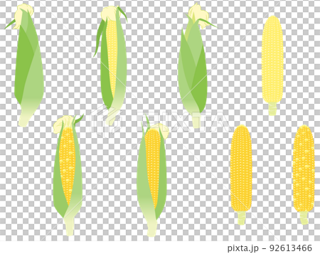 野菜イラスト　バラエティセット　トウモロコシ 92613466