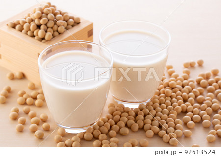 豆乳と大豆 豆乳と大豆 92613524