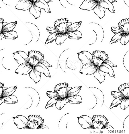Seamless pattern, contour flowers of daffodils on a white background. Line drawing. Print, background, textile, vector 92613865