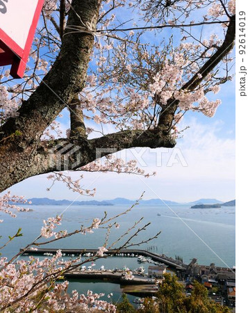 春の正福寺山公園　瀬戸内海への眺め　（広島県東広島市安芸津町） 92614019