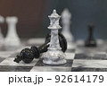 Game of chess checkmate 92614179