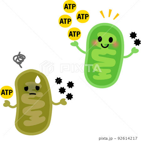 元気なミトコンドリアと疲れたミトコンドリア 92614217