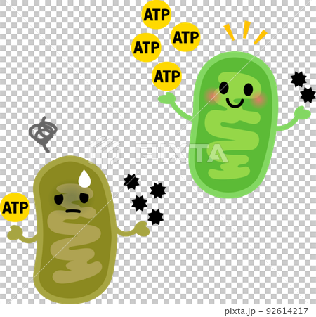 元気なミトコンドリアと疲れたミトコンドリア 92614217