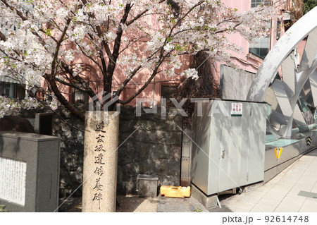 渋谷　道玄坂 92614748