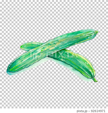 黃瓜 黃瓜 92614971