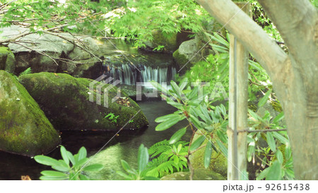 屋外の新緑と川の流れの自然風景（緑色植物・晴れ） 92615438