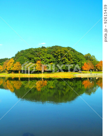 秋の池のある1世紀の森と広場風景 92615439
