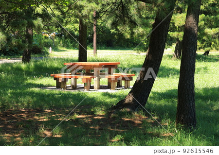 公園のベンチとテーブル 公園のベンチとテーブル 92615546