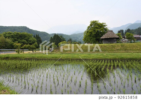 鳥取県江府町御机の田んぼと茅葺小屋 92615858
