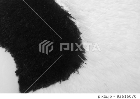 Black and White Animal Texture Natural Background Pattern Panda Design Print Abstract Black and White Animal Texture Natural Background Pattern Panda Design Print Abstract 92616070