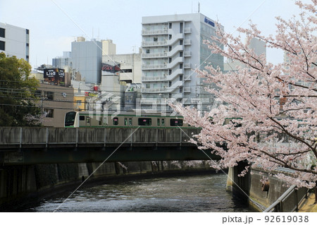 桜満開の目黒川を渡るE233系 桜満開の目黒川を渡るE233系 92619038