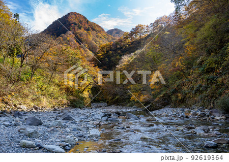 蛇谷川の河原から眺める白山国立公園の紅葉 蛇谷川の河原から眺める白山国立公園の紅葉 92619364