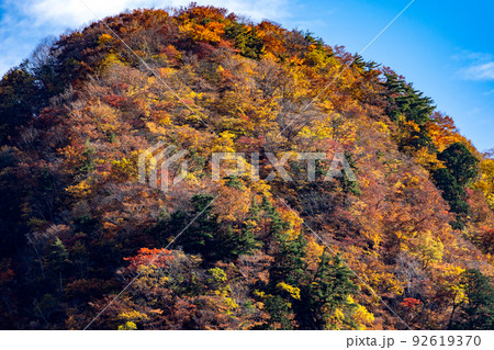 蛇谷川の河原から眺める白山国立公園の紅葉 蛇谷川の河原から眺める白山国立公園の紅葉 92619370