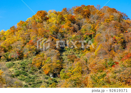 蛇谷川の河原から眺める白山国立公園の紅葉 蛇谷川の河原から眺める白山国立公園の紅葉 92619371