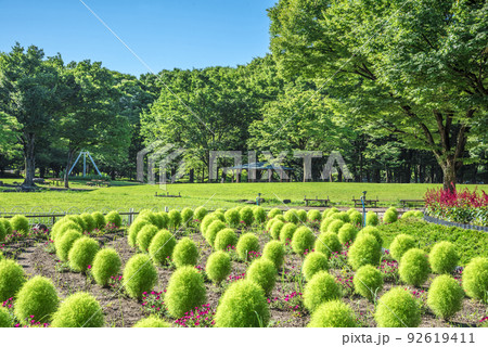 《愛知県》名古屋市　名城公園　コキア 92619411