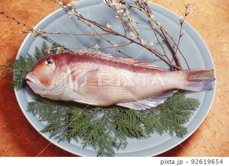 皿に盛り付けた丸のままのアマダイ 皿に盛り付けた丸のままのアマダイ 92619654