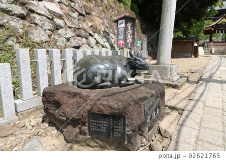 茨城県の筑波山の筑波山神社 茨城県の筑波山の筑波山神社 92621765